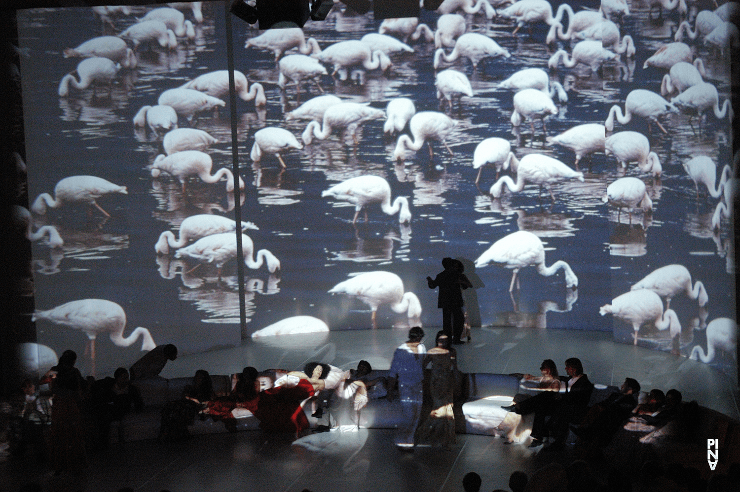 Cristiana Morganti dans « Água » de Pina Bausch