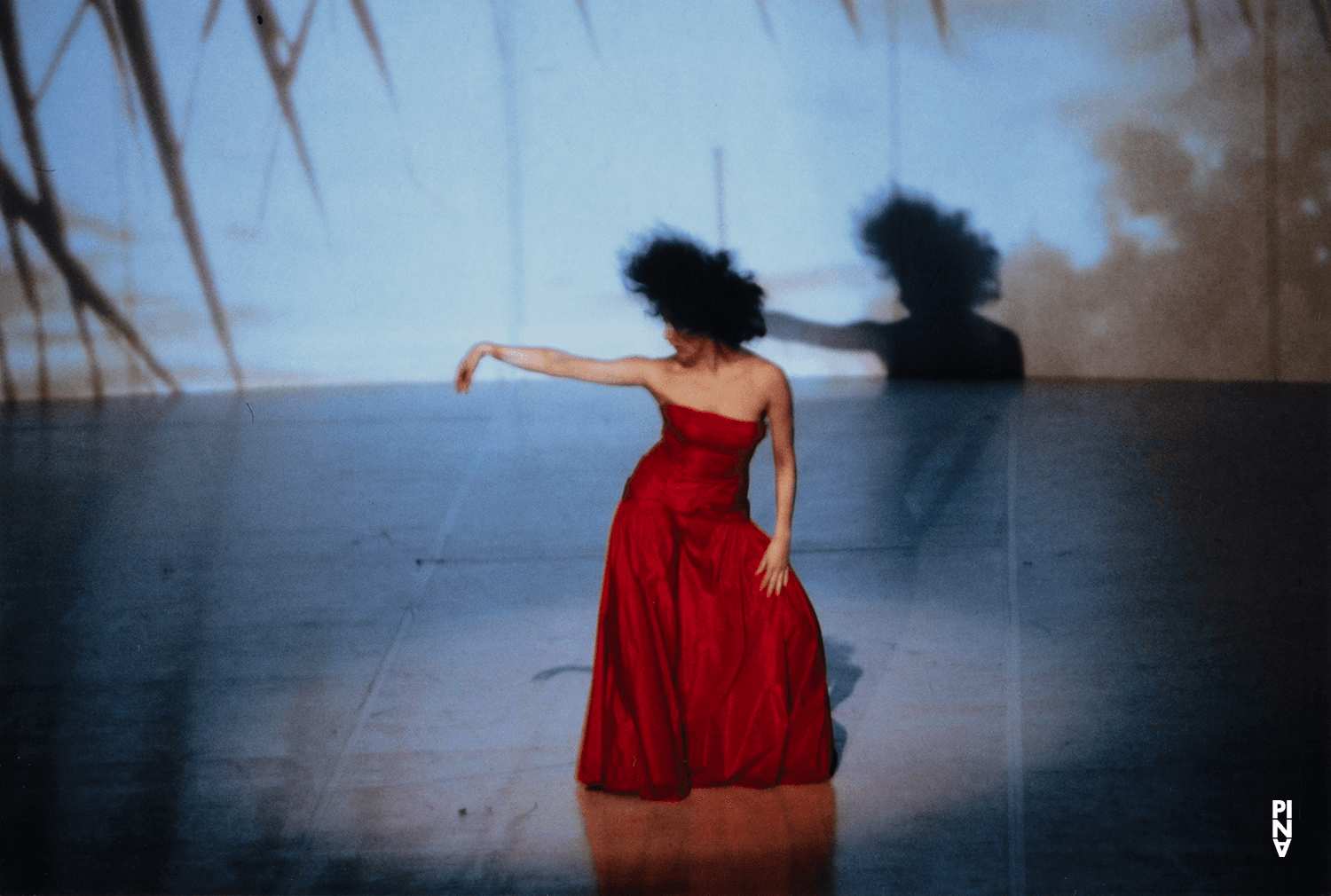 Cristiana Morganti dans « Água » de Pina Bausch