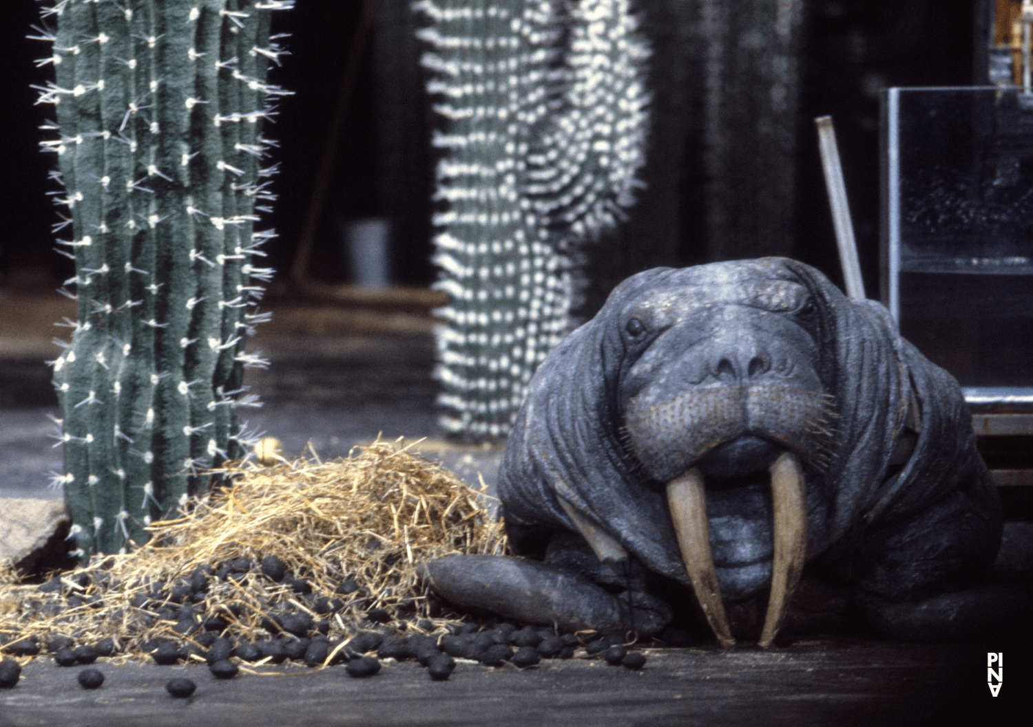 Photo de « Ahnen » de Pina Bausch