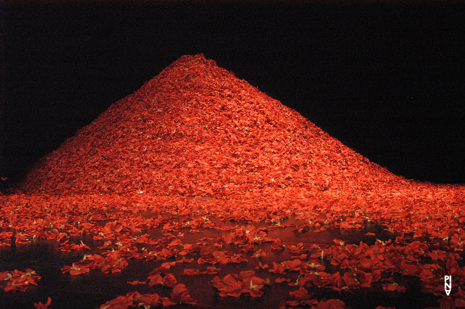 Photo de « Der Fensterputzer (Le laveur de vitres) » de Pina Bausch