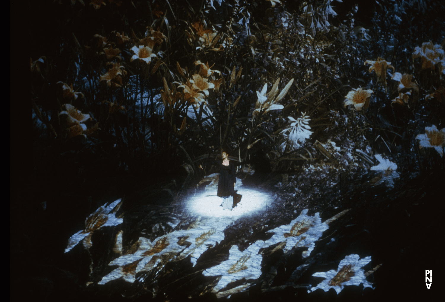 Quincella Swyningan in „Tanzabend II“ von Pina Bausch