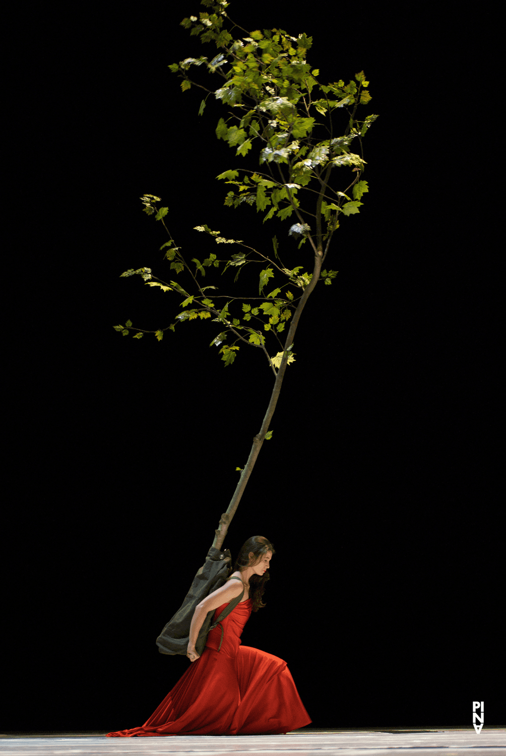 Clémentine Deluy dans « "... como el musguito en la piedra, ay si, si, si ..." (Comme la mousse sur la pierre) » de Pina Bausch