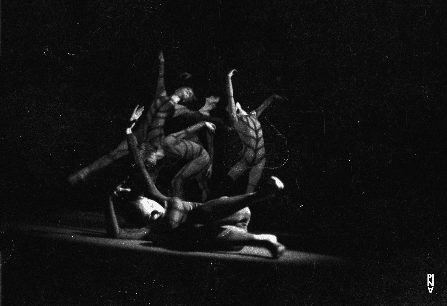 „Nachnull“ von Pina Bausch