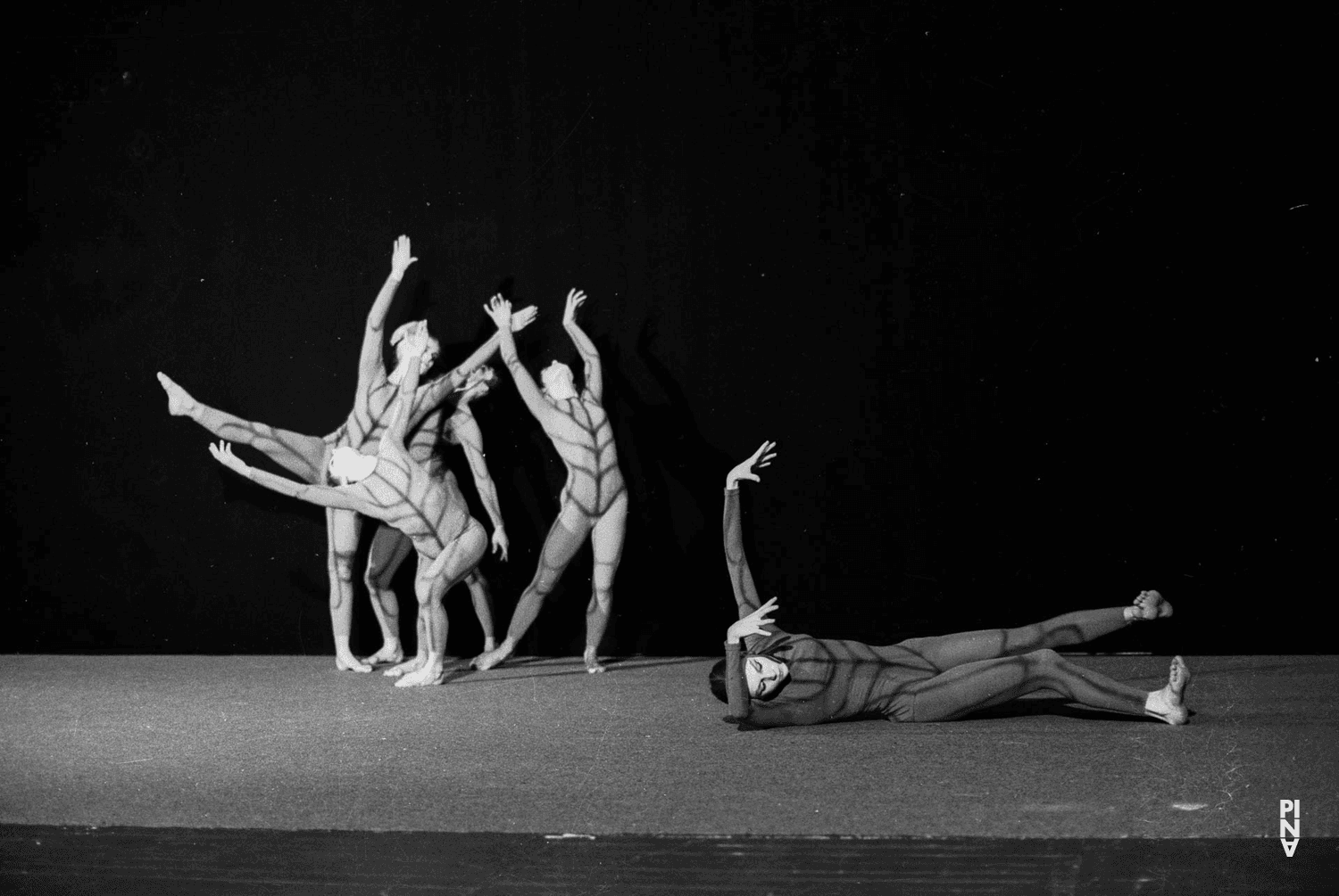 Photo de « Nachnull (Après Zéro) » de Pina Bausch