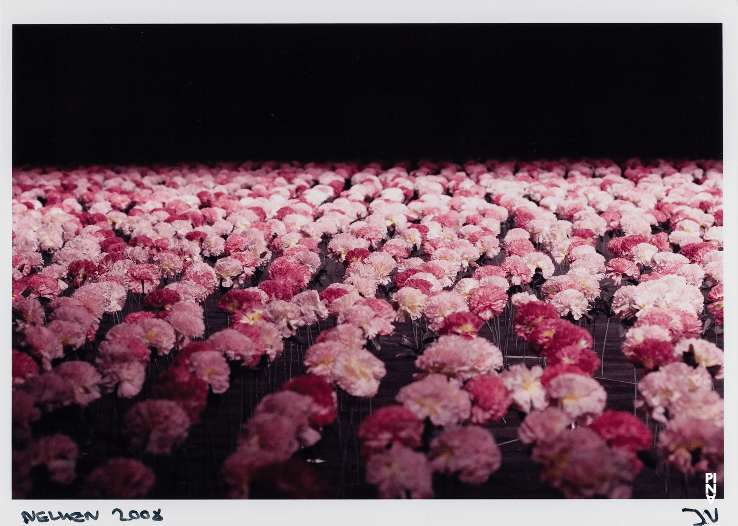 „Nelken“ von Pina Bausch