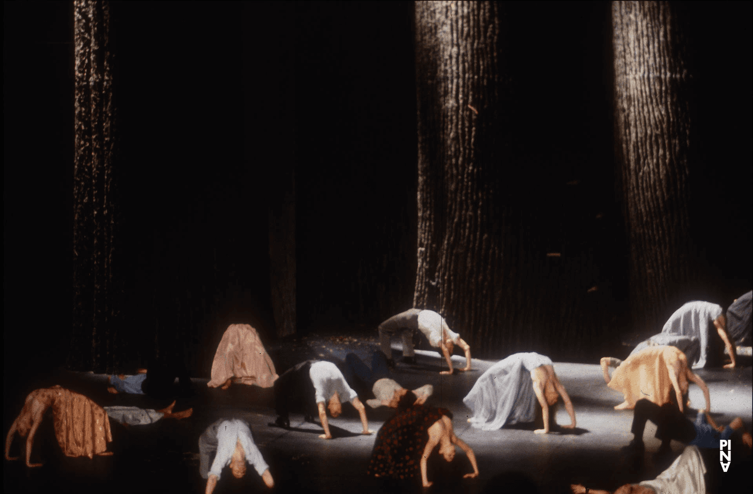 Photo de « Nur Du » de Pina Bausch