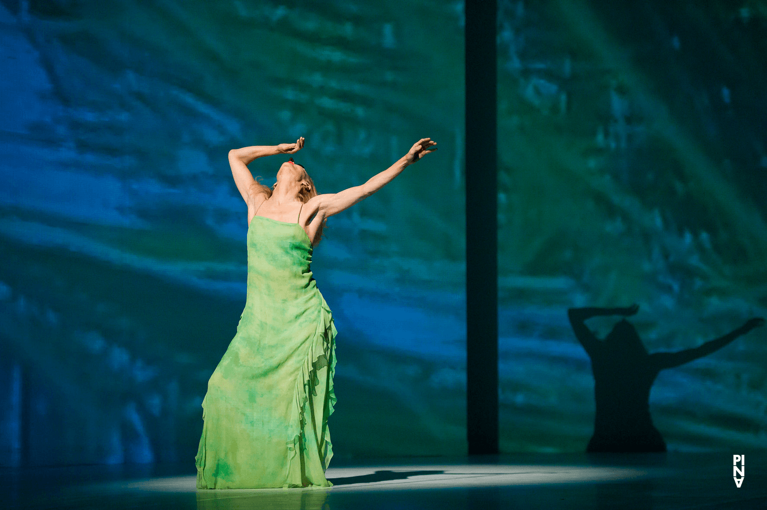 Julie Shanahan dans « Água » de Pina Bausch avec Tanztheater Wuppertal à l'Opernhaus Wuppertal (Allemagne), 18 novembre 2010