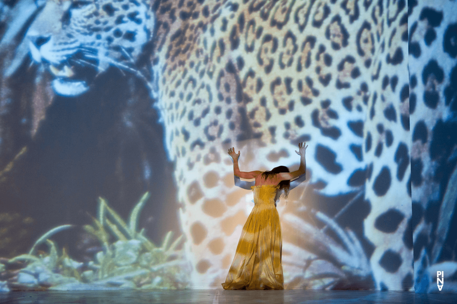Héléna Pikon dans « Água » de Pina Bausch avec Tanztheater Wuppertal à l'Opernhaus Wuppertal (Allemagne), 18 novembre 2010