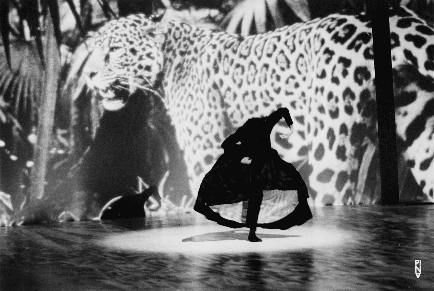 „Água“ von Pina Bausch