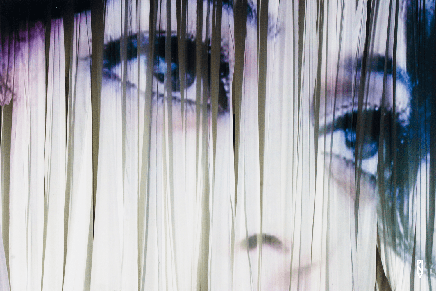 „Bamboo Blues“ von Pina Bausch