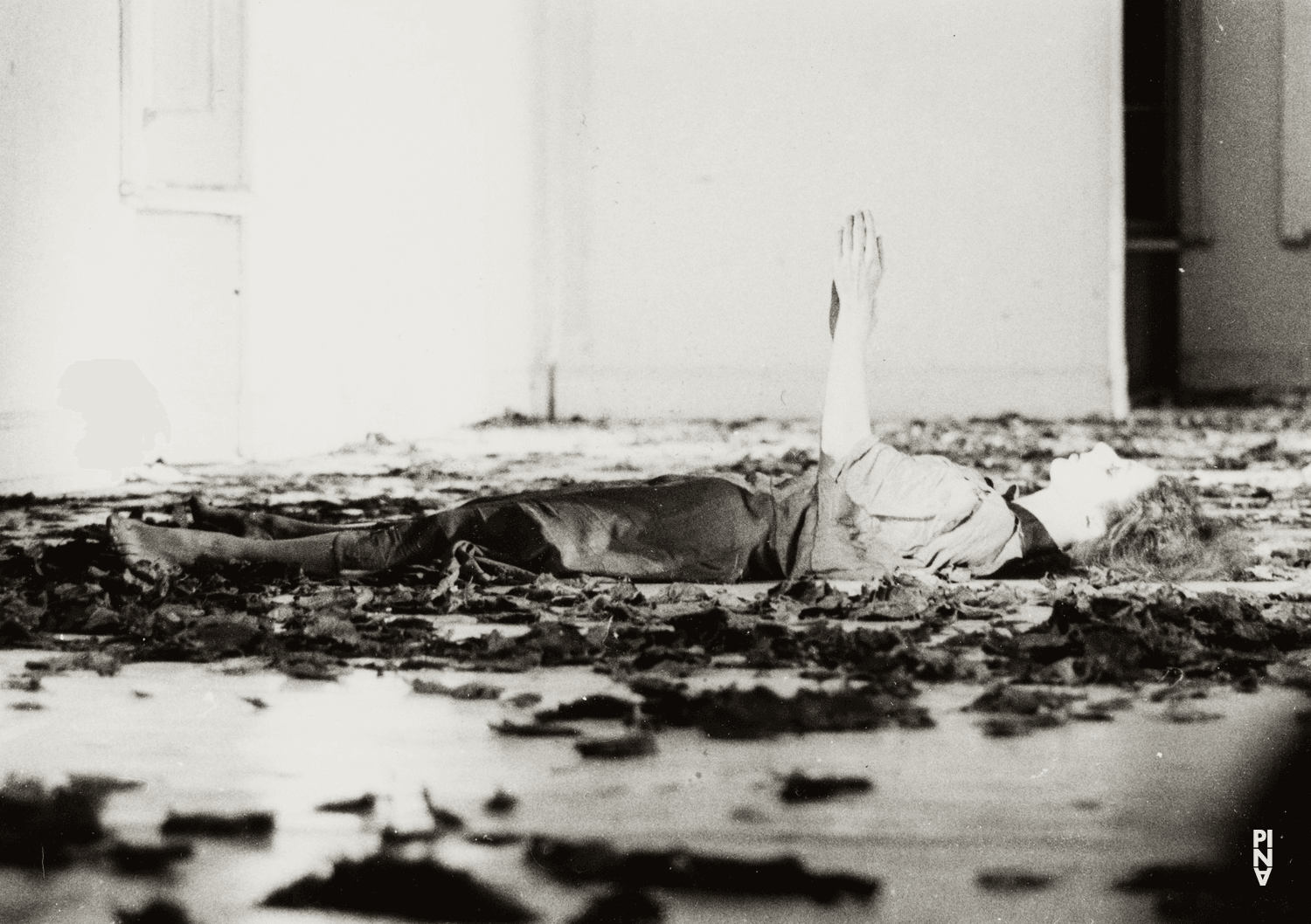 Colleen Finneran-Meessmann in „Blaubart. Beim Anhören einer Tonbandaufnahme von Béla Bartóks Oper »Herzog Blaubarts Burg«“ von Pina Bausch