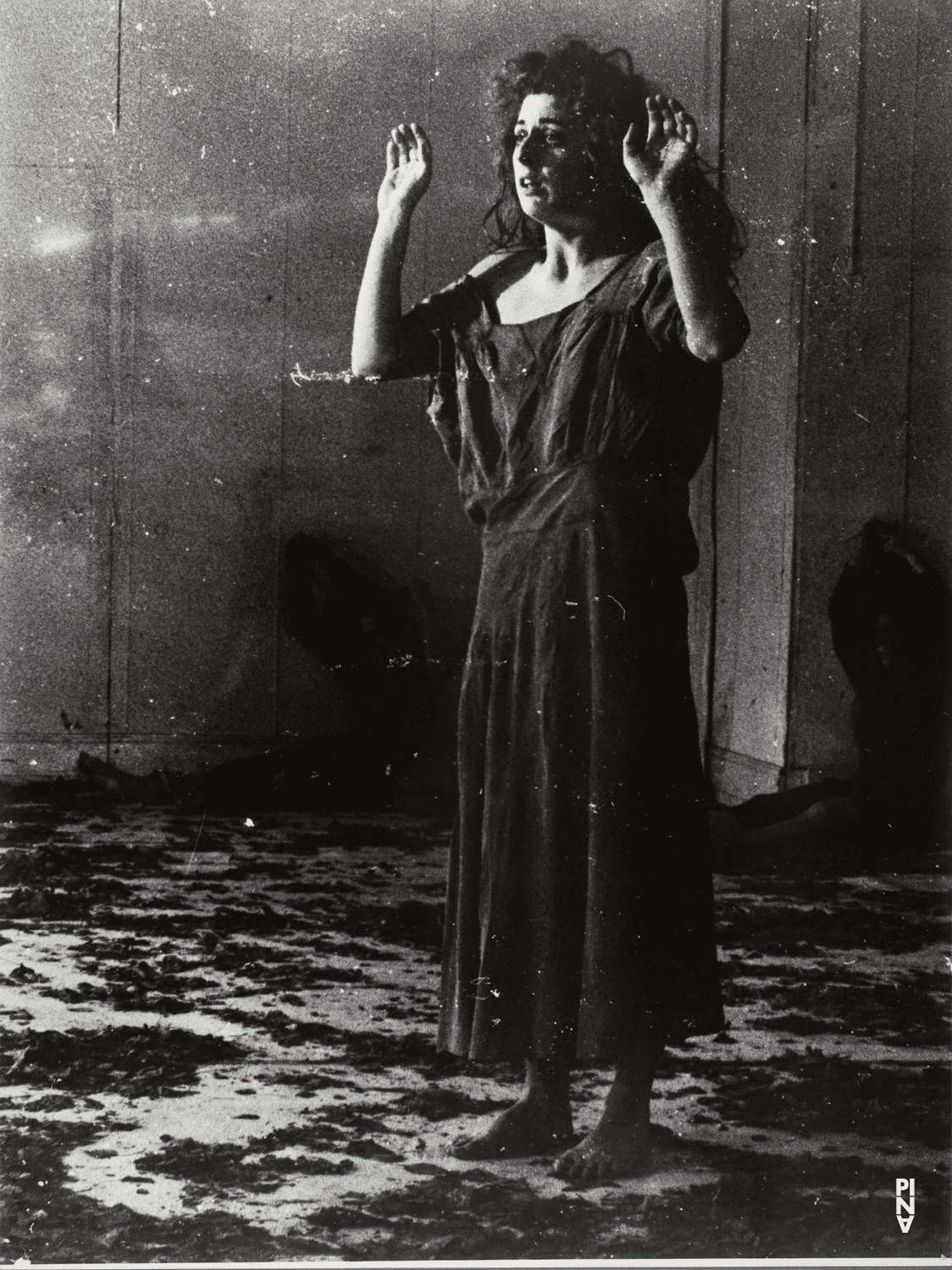 Colleen Finneran-Meessmann in „Blaubart. Beim Anhören einer Tonbandaufnahme von Béla Bartóks Oper »Herzog Blaubarts Burg«“ von Pina Bausch