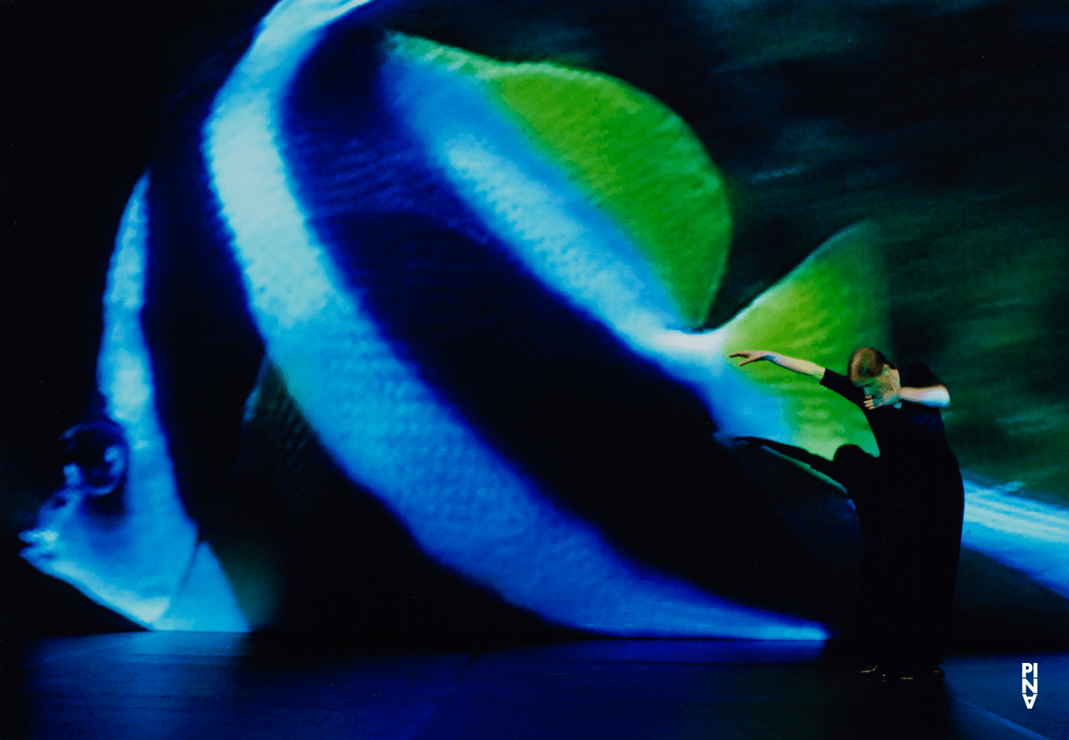 Pina Bausch in „Danzón“ von Pina Bausch