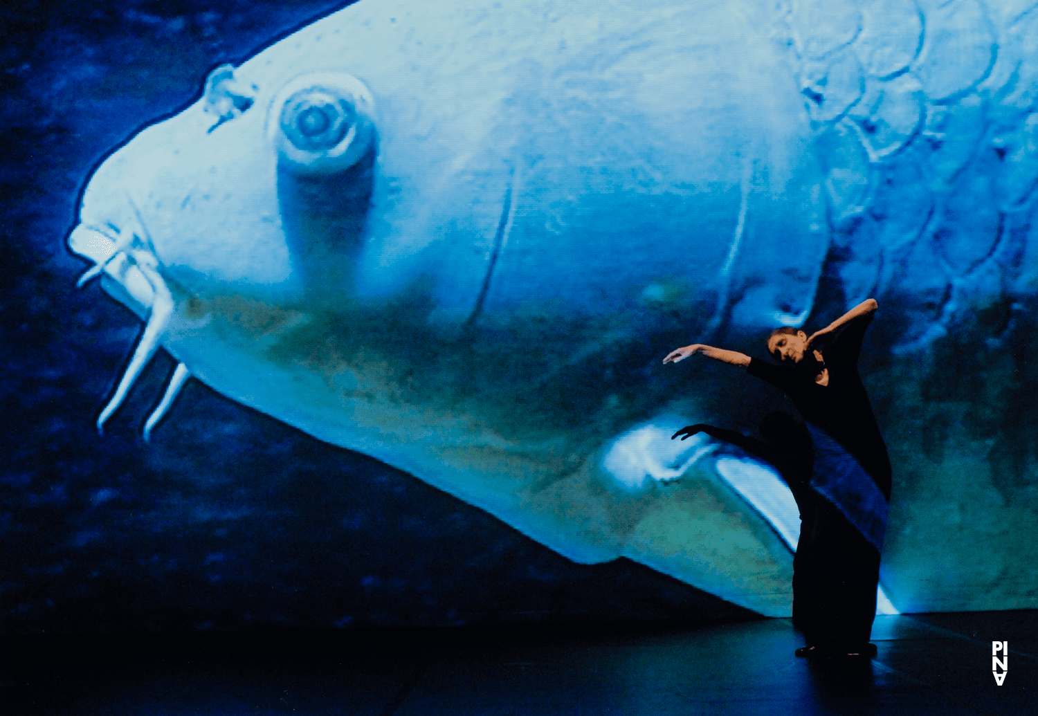 Pina Bausch in „Danzón“ von Pina Bausch