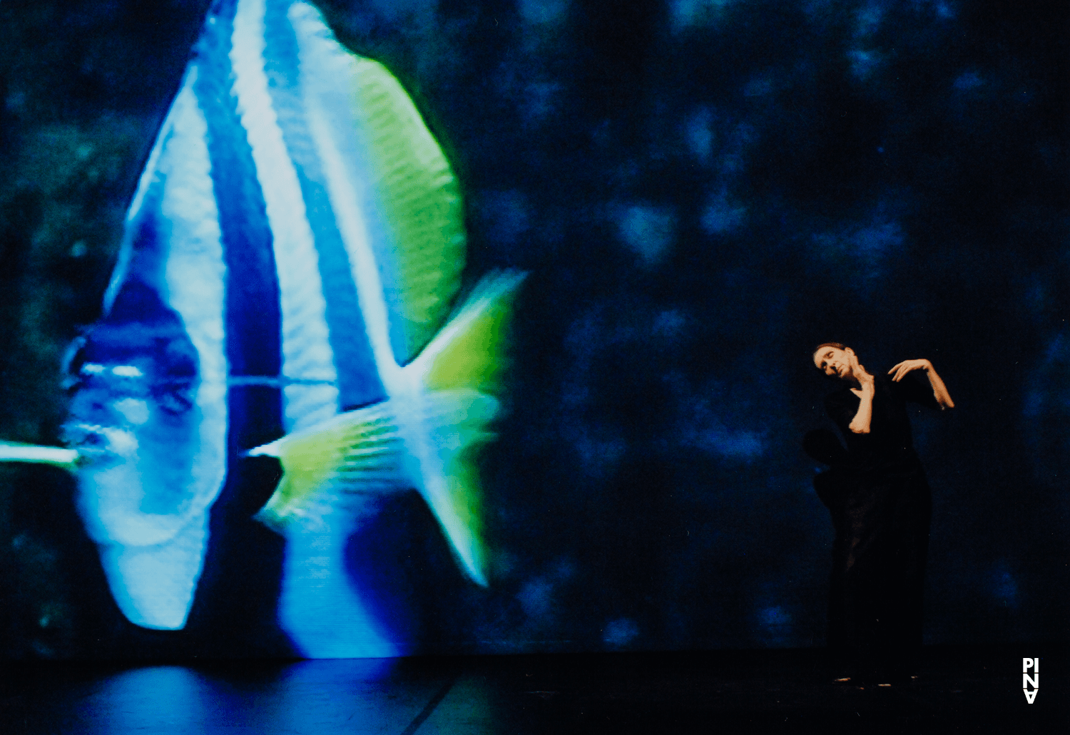 Pina Bausch dans « Danzón » de Pina Bausch