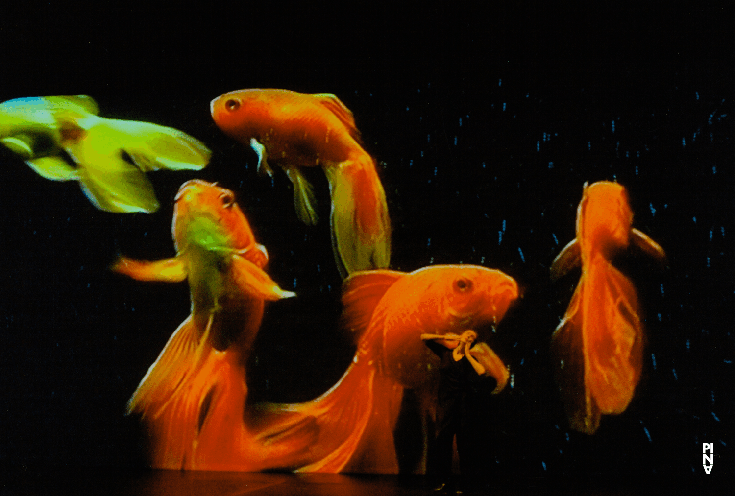 Pina Bausch in „Danzón“ von Pina Bausch, 10. Oktober 2007