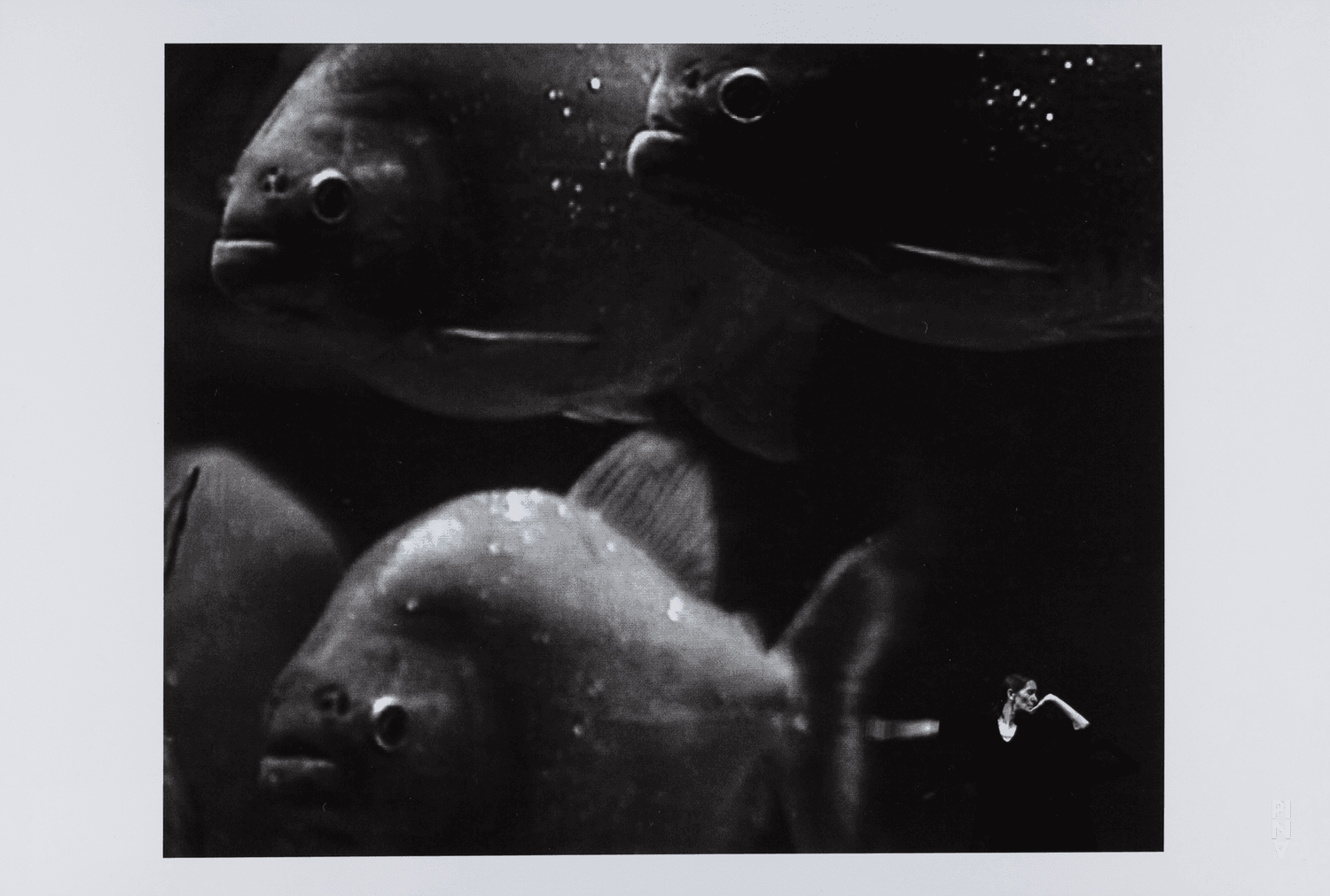 Pina Bausch in „Danzón“ von Pina Bausch