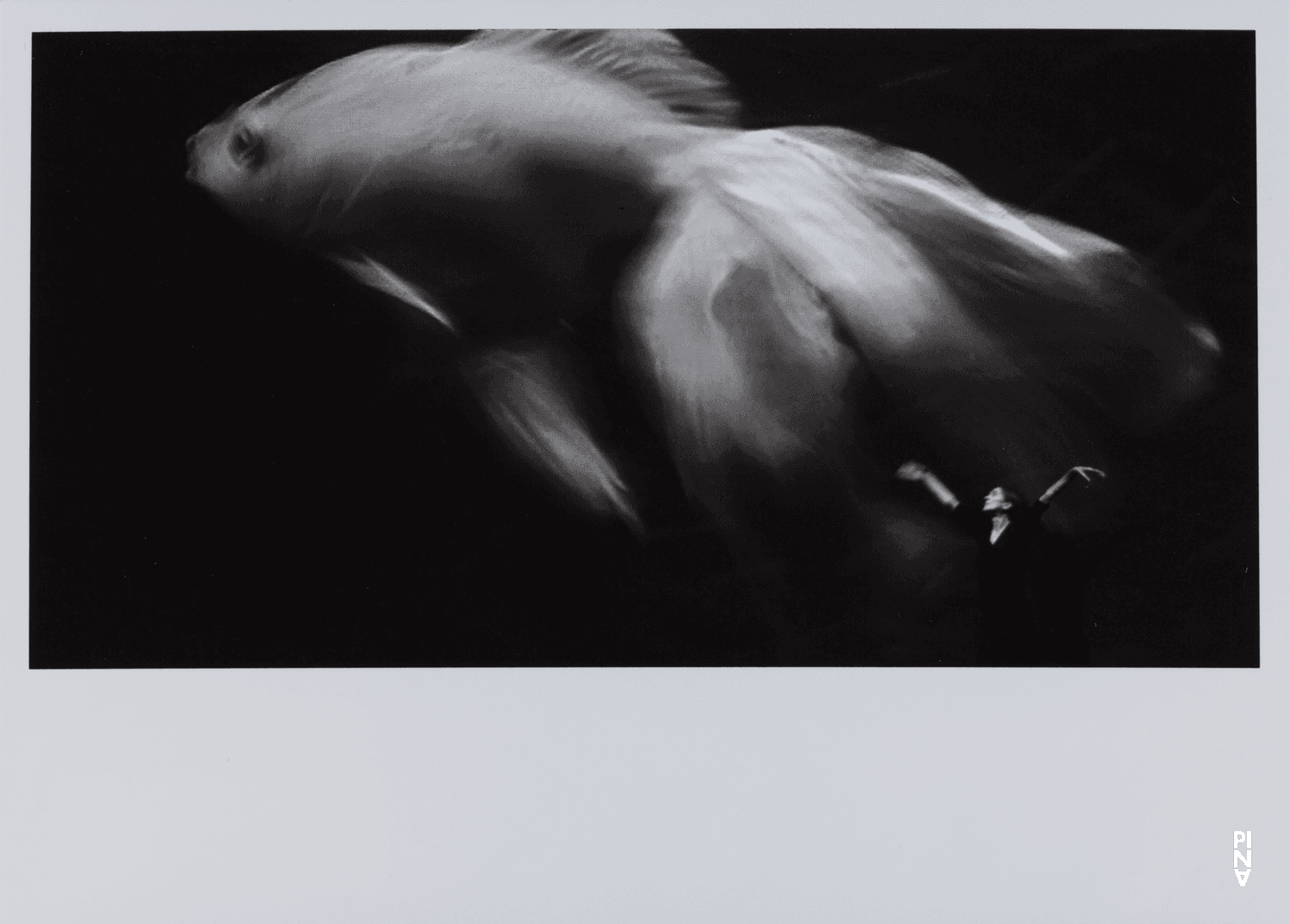 Pina Bausch in „Danzón“ von Pina Bausch