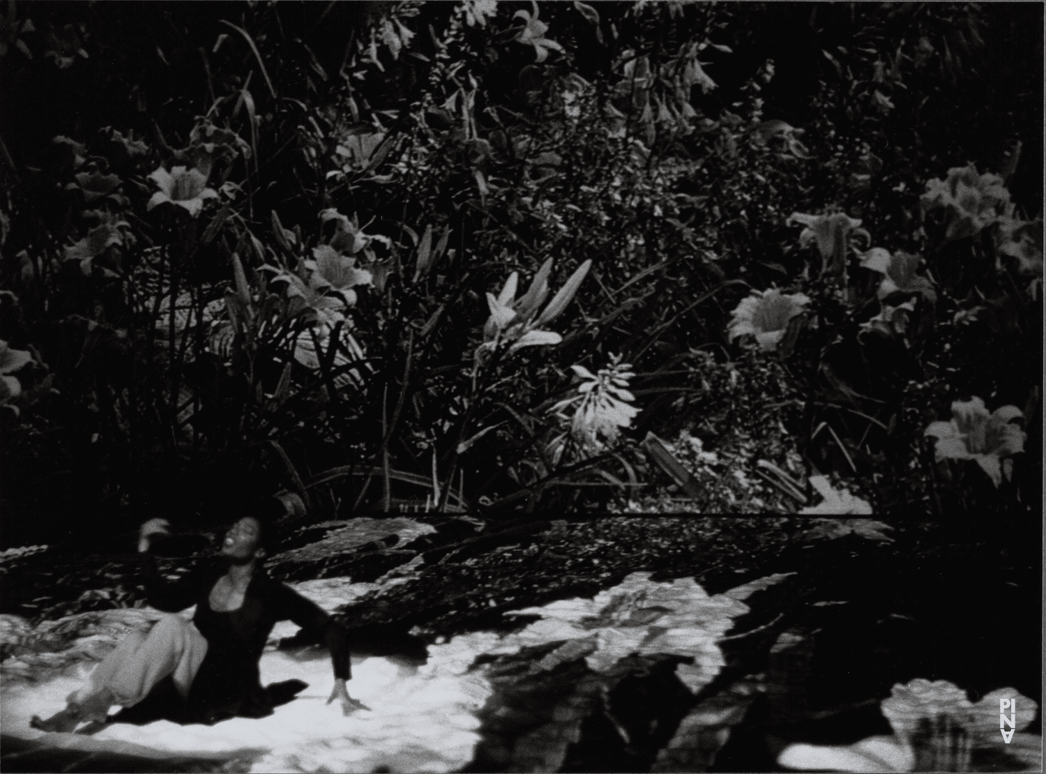 Quincella Swyningan in “Tanzabend II” by Pina Bausch