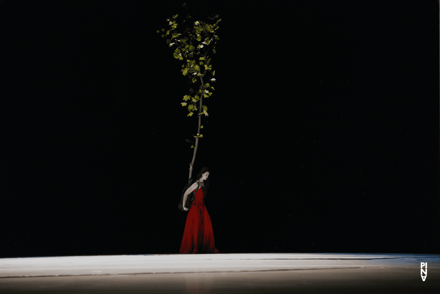 Clémentine Deluy in „"... como el musguito en la piedra, ay si, si, si ..." (Wie das Moos auf dem Stein)“ von Pina Bausch
