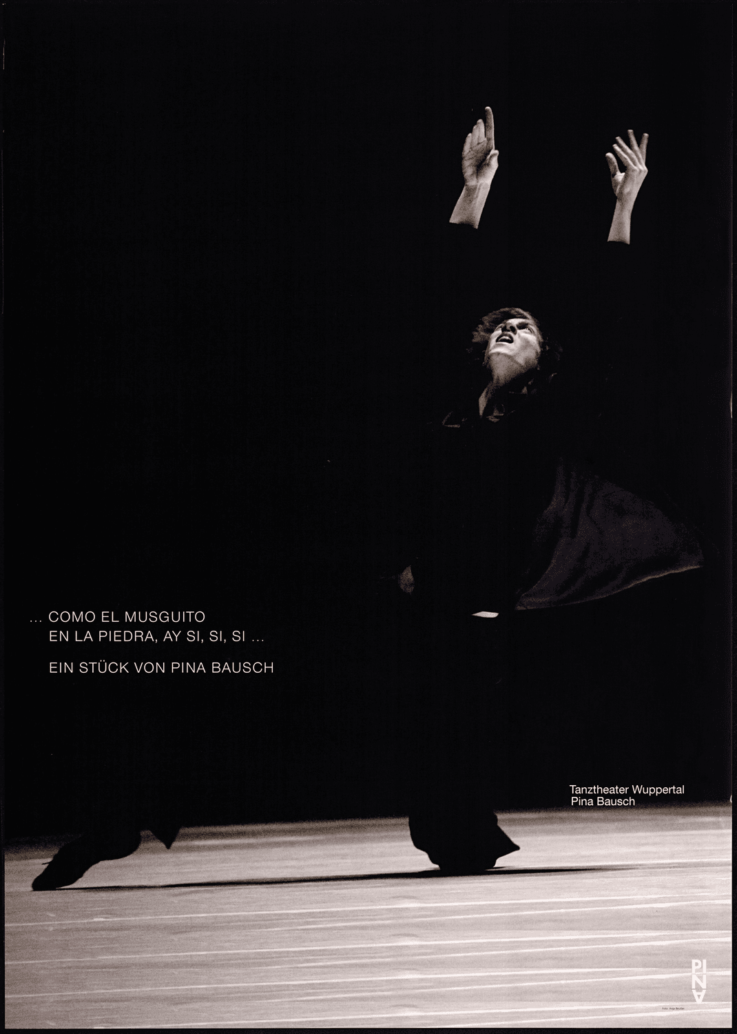 Poster for “"... como el musguito en la piedra, ay si, si, si ..." (Like Moss on the Stone)” by Pina Bausch