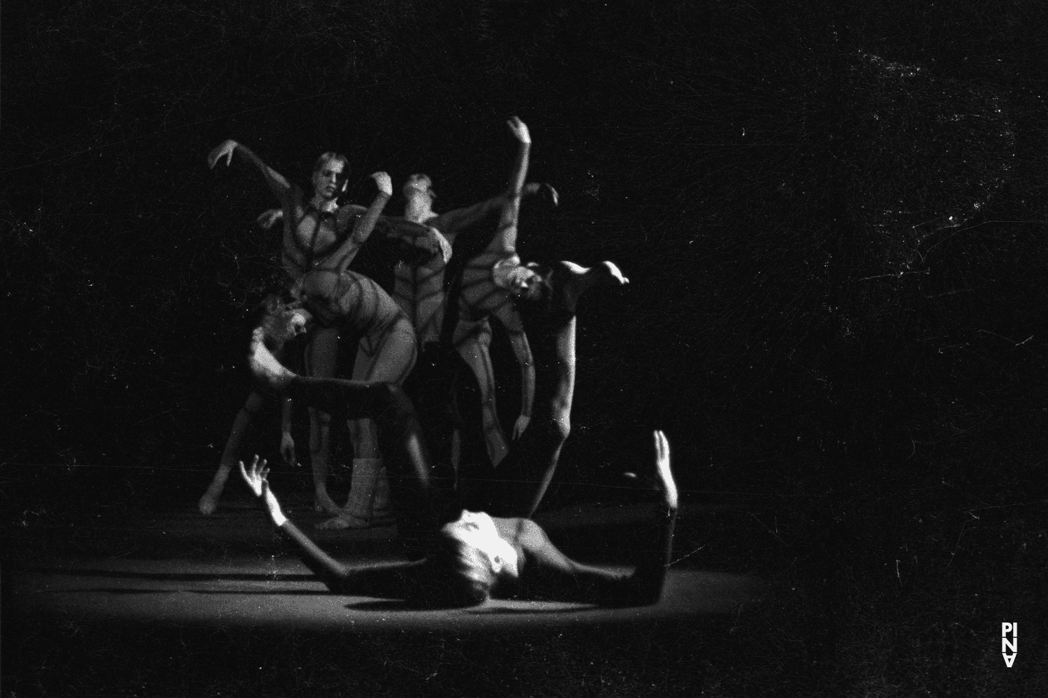 Photo de « Nachnull (Après Zéro) » de Pina Bausch