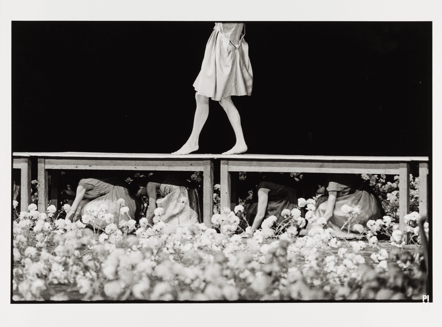 Photo de « Nelken (Les œillets) » de Pina Bausch