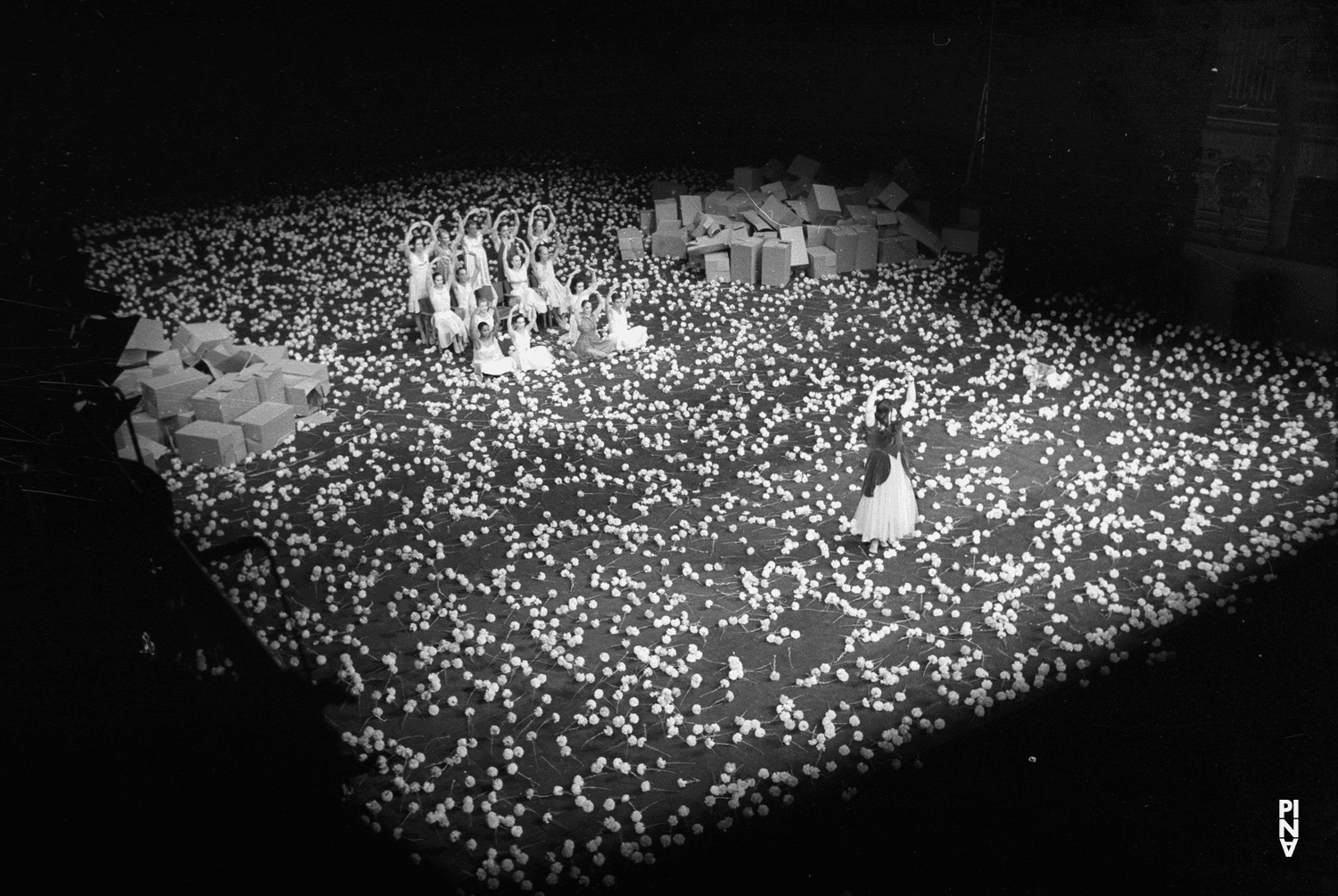 Jan Minařík dans « Nelken (Les œillets) » de Pina Bausch