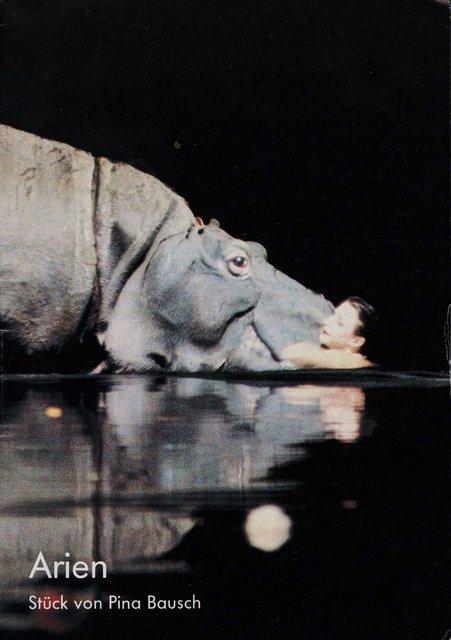 Programme pour « Arien » de Pina Bausch, saison 1983/84
