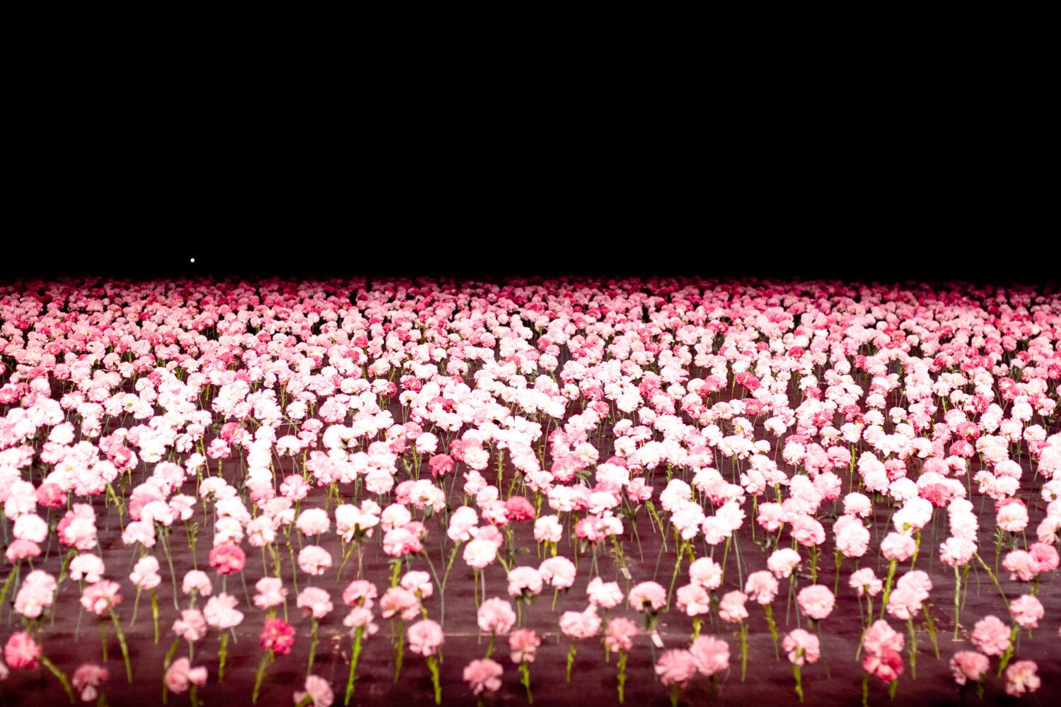 <p>Das Bühnenbild des Stücks <em>Nelken</em></p>